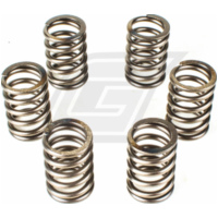 Premium Kupplungsfedern-Kit CSK114