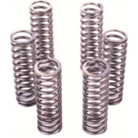 Premium Kupplungsfedern-Kit CSK126