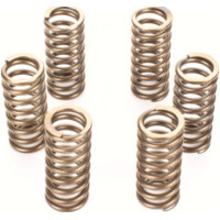 Kupplungsfedernsatz Premium Kupplungsfedern-Kit f&uuml;r: KTM CSK210