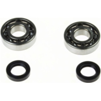 Kurbelwellenlager Satz mit Wellendichtringe HD Heavy Duty f&uuml;r Peugeot liegend
