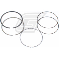 Kolbenring Set f&uuml;rzylinderkit 100 &Oslash; 490cc