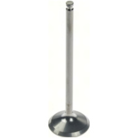 23.00 x 80.05 x 3.98 Einlassventil (Titanium)