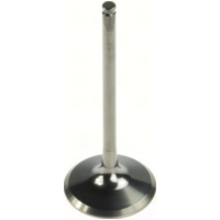 31.00 x 79.20 x 4.47 Einlassventil (Titanium)