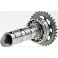 Nockenwelle Einla&szlig;Yamaha YZ250F / WR250F