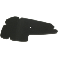 Luftfilter MIW P5133 f&uuml;r Piaggio Hexagon 125/150 (innen)