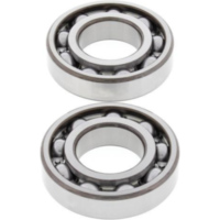 Kurbelwellenlager-Satz f&uuml;r: Honda TRX250 Recon 97-01