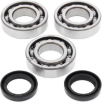 Kurbelwellenlager-Satz f&uuml;r: Polaris Trail Blazer 250 99-06