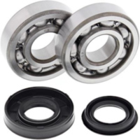 Kurbelwellenlager-Satz f&uuml;r: Polaris Sportsman 90 07-10