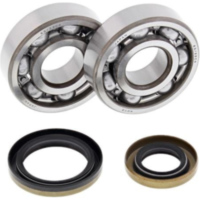 Kurbelwellenlager / Dichtungssatz Gas-Gas EC125 03-11