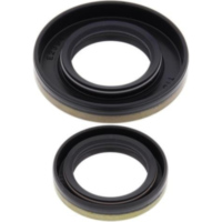 Kurbelwellen Lager Dichtsatz f&uuml;r: Suzuki RM250 03-04