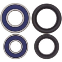 Radlager / Dichtungssatz f&uuml;r: Honda TRX250X / EX Sportrax 01-18