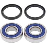 Radlager Satz hinten TM EN 125 05-11