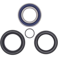 Radlager / Dichtungssatz f&uuml;r: Honda TRX500FA 05-14