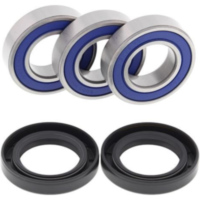 Radlager / Dichtungssatz 41251593