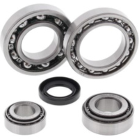 Differentiallager + Dichtungssatz - hinten - f&uuml;r: Kawasaki KLF300A Bayou 86-87