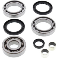 Differentiallager + Dichtungssatz - hinten - f&uuml;r: Polaris ATV 500 Pro 02