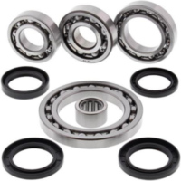 Differentiallager + Dichtungssatz - hinten - f&uuml;r: Suzuki LT-A500F Quad Master Auto 01