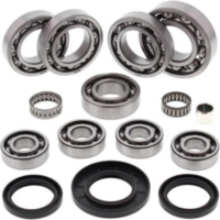 Differential Lager/Dicht Satz - hinten - f&uuml;r: Polaris Hawkeye 2x4 06-11