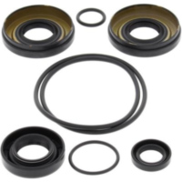 Differential-Dichtungssatz - f&uuml;r: Kawasaki KVF650 I Brute force 06-13