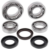 Differential Lager/Dicht Satz - hinten - f&uuml;r: Yamaha YFM450 Grizzly EPS 11-14