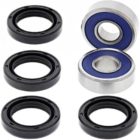 Einzelradaufh&auml;ngung - Dichtungssatz - unten - Arctic Cat 250 2x4 06-09