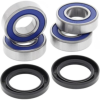 Einzelradaufh&auml;ngung Reparatursatz - hinten - f&uuml;r: CAN-AM Commander 1000 DPS 16-18